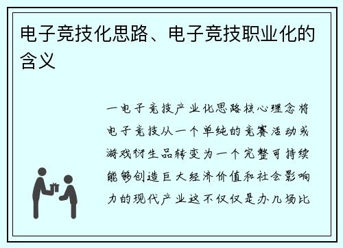 电子竞技化思路、电子竞技职业化的含义